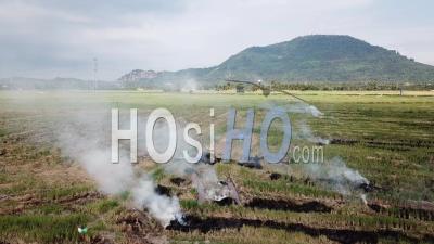 Aerial View Open Fire At Rice Paddy Field - Video Drone Footage