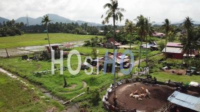 Vue Aérienne Ferme Dans Le Village Rural Des Malais - Vidéo De Drones