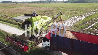 Orbiting Green Combine Harvester Transfer Rice Harvest To Container At Truck - Video Drone Footage