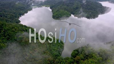 Aerial View Natural Morning Cloud Flow - Video Drone Footage