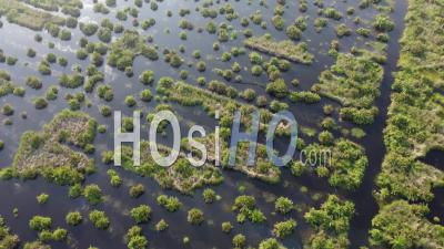 Vue Aérienne Des Zones Humides De Batu Kawan Avec De L'eau Inondée - Vidéo Par Drone