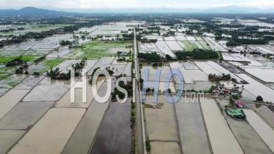 Aerial View Flood Season At Paddy Field - Video Drone Footage