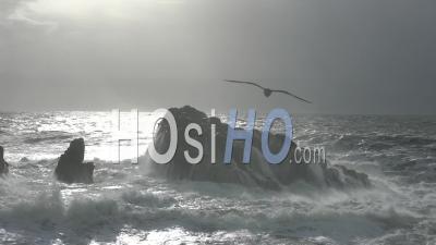 Storm Big Wave France Britany Batz-Sur-Mer Sur Mer 