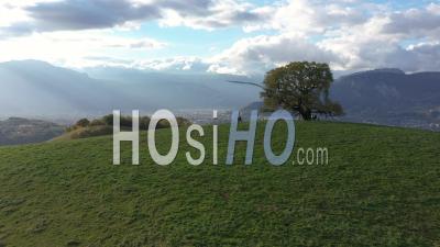 Venon Oak Near Grenoble At Sunset - Video Drone Footage