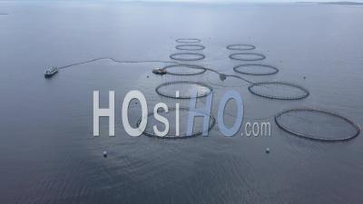 Salmon Farming. Donegal, Ireland - Video Drone Footage