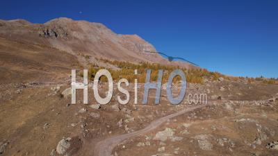 Larch Forest In Autumn Between Col De Vars And Pointe De L'eyssina, Above The Resort Of Vars, Hautes-Alpes, France, Viewed From Drone