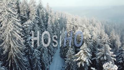 Snowy Forests In The Vosges - Video Drone Footage