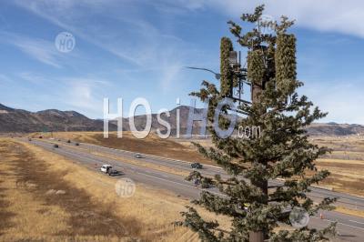 Communications Tower Disguised As Tree - Aerial Photography