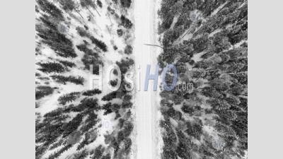 Two Sides Of The Forest - Aerial Photography