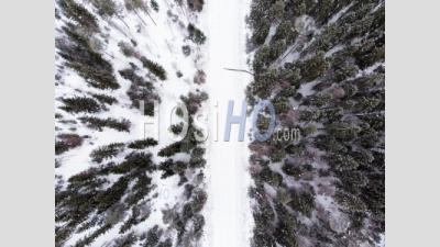 Two Sides Of The Forest - Aerial Photography