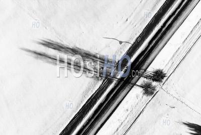 Two Trees By The Road - Aerial Photography