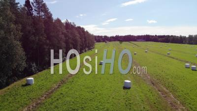 Hay Bales On The Summer Fields - Video Drone Footage