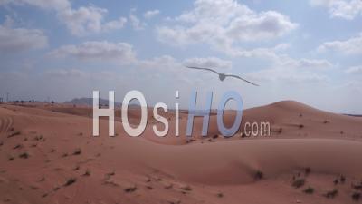 Desert Road, Video Drone Footage
