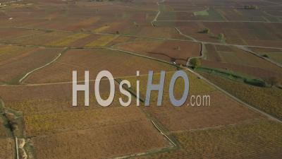 Bourgogne Vineyard In Autumn, Savigny-Les-Beaune, Cote-D'or, France - Video Drone Footage