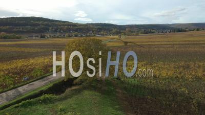 Bourgogne Vineyard In Autumn, Savigny-Les-Beaune, Cote-D'or, France - Video Drone Footage