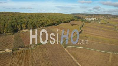 Vignoble De Bourgogne En Automne, Savigny-Les-Beaune, Côte-D'or, France - Vidéo Par Drone