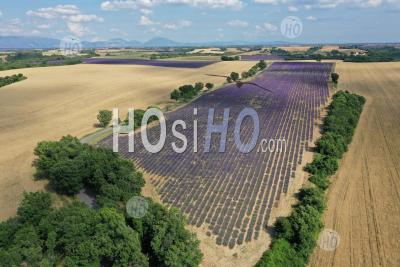 Lavender Field, Verdon Regional Nature Park, Valensole Plateau, Alpes-De-Haute-Provence, France - Aerial Photography