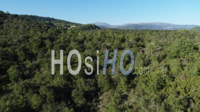 Pays De Fayence, Lac De Saint Cassien En Provence - Vidéo Par Drone