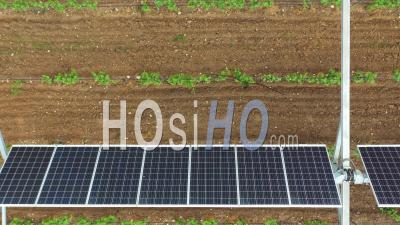 La Première Ferme Agrovoltaïque Au Monde - Vidéo Drone