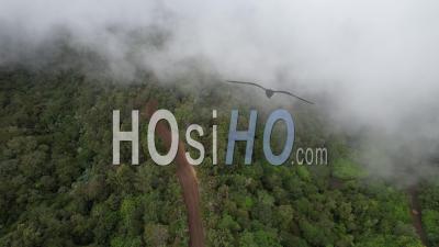 La Réunion, Massif Du Dimitile, Le Cirque De Cilaos Et Le Piton Des Neiges Au Loin, France - Vidéo Drone