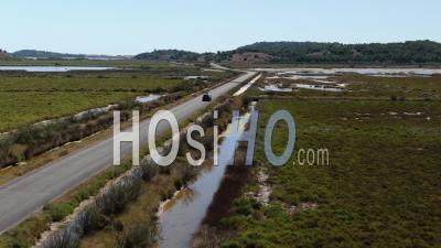  Voiture Sur La Route De Gruissan Au Milieu Des Pins En été, Filmée Par Drone