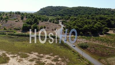 Car On The Road To Gruissan Among The Pines In Summer, Filmed By Drone