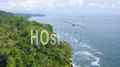 Aerial Drone View Of Rainforest And Ocean On The Pacific Coast In Costa Rica, Tropical Jungle Coastal Landscape Scenery With The Sea And Coastline At Parque Nacional Marino Ballena