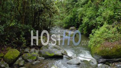 Aerial Drone View Of River In Costa Rica Rainforest Scenery, Beautiful Nature With Water Flowing Through The Jungle At Savegre, San Gerardo De Dota, Central America