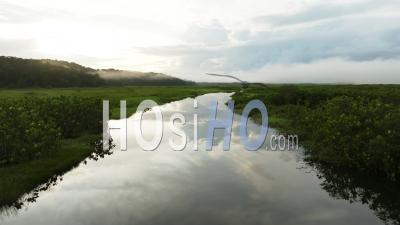 Swamp Of Kaw, Viewed From Drone, French Guyana