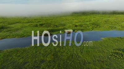 Swamp Of Kaw With A House, Viewed From Drone, French Guyana