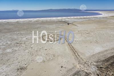 La Jetée En Spirale De Shrinking Great Salt Lake - Photographie Aérienne