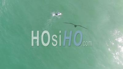 Surfers On Ocean, Lacanau Beach - Video Drone Footage