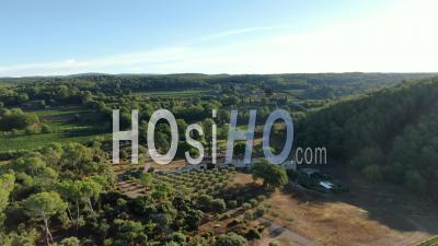 Flight Over The Vineyards Of Provence Before The Harvest, Drone Footage