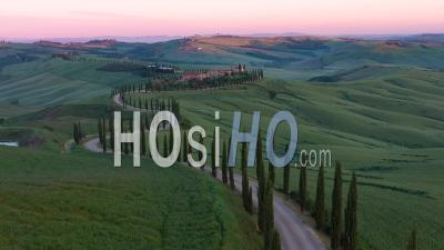 Aerial View Of Cypress Tree Lined Road Near Asciano, Filmed By Drone, Tuscany, Italy 