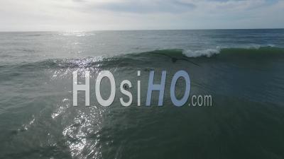 Surfers On Ocean, Lacanau Beach - Video Drone Footage