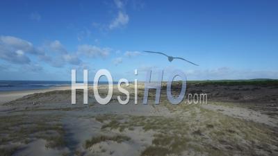 Beach Of The Lagoon - Video Drone Footage, La Teste-De-Buch