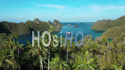 2020 - Vue Aérienne De Palmiers Et D'un Bateau Flottant Parmi Les îles Wayag, Raja Ampat, Indonésie - Vidéo Par Drone
