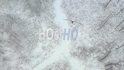 A Path Through Snow-Covered Trees, Wisconsin, Usa - Aerial Photography