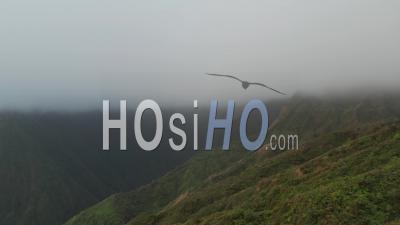 Lush Mountains In The Clouds, Maui, Hawaii - Video Drone Footage