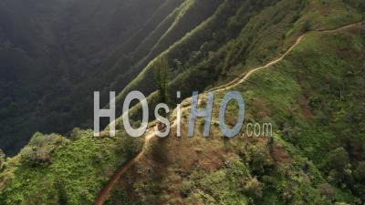  Lush Ridge Trail Dans Les Montagnes à Golden Hour, Maui, Hawaii - Vidéo Par Drone