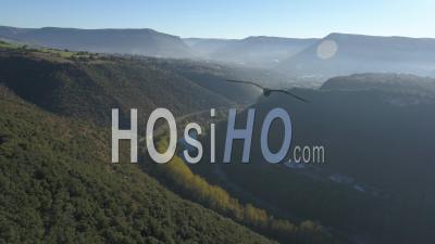 Millau, Valley And Woods Near The Millau Viaduct, Above The Tarn River, Aveyron, France - Video Drone Footage