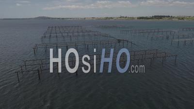 Thau Pond Near Marseillan, Oyster Farming, Shellfish Farmers, Herault, France - Video Drone Footage