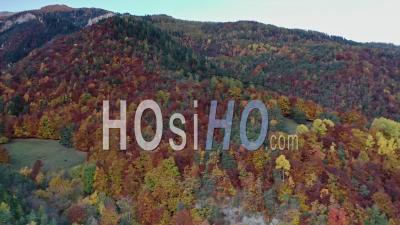 Boscodon Forest In Autumn, Crots, Hautes Alpes, France - Drone Point Of View