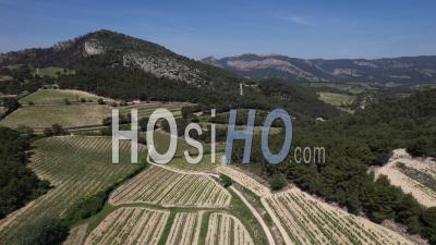 Agricultural Landscape Of The Vaucluse With The Dentelles De Montmirail In The Background, France, Viewed From Drone