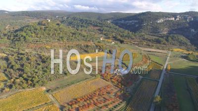 Vineyard In Autumn, Nearby Gordes Village, Vaucluse, France - Video Drone Footage