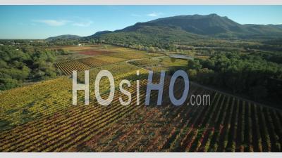 Provence Vineyard In Autumn, Pourcieux, Var  France - Video Drone Footage