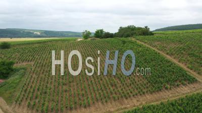  Hils Of Grand Cru Vineyards In Chablis, Burgundy - Video Drone Footage