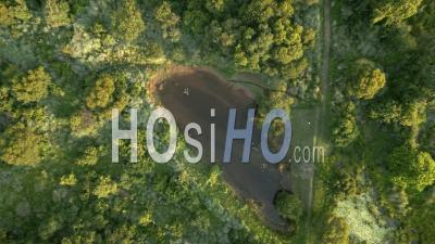 Un étang Dans Une Zone Humide Au Coucher Du Soleil à Mpumalanga Afrique Du Sud - Vidéo Aérienne Par Drone