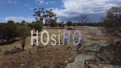 Prise De Vue Aérienne De La Campagne Typique De L'australie Occidentale - Vidéo Aérienne Par Drone