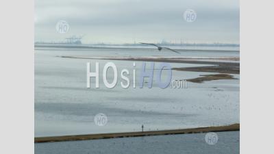 Salt Marshes And Harbour By A Cloudy Day, Walvis Bay, Namibia - Aerial Photography